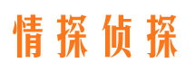 汤阴市调查公司